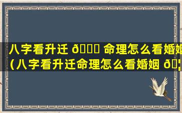 八字看升迁 💐 命理怎么看婚姻（八字看升迁命理怎么看婚姻 🦟 好不好）